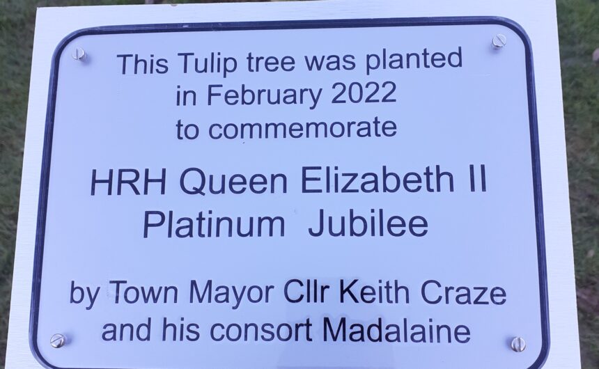 Mayor Plants Platinum Tree