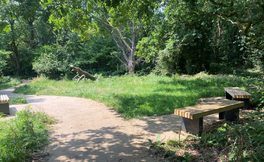 Ashington Park Woodland & Carrick Way Woodland