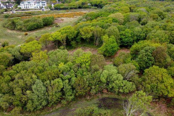 Barton Common Car Park