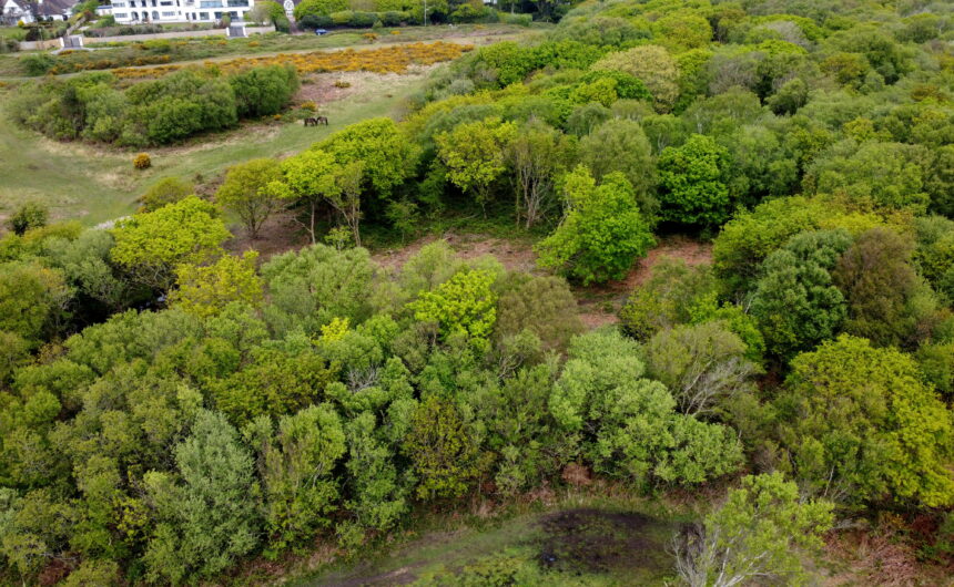 Barton Common Car Park