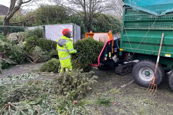 Recycle your real Christmas Tree