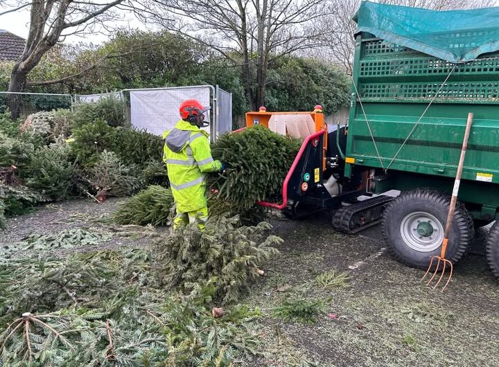 Recycle your real Christmas Tree