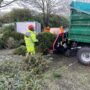 Recycle your real Christmas Tree